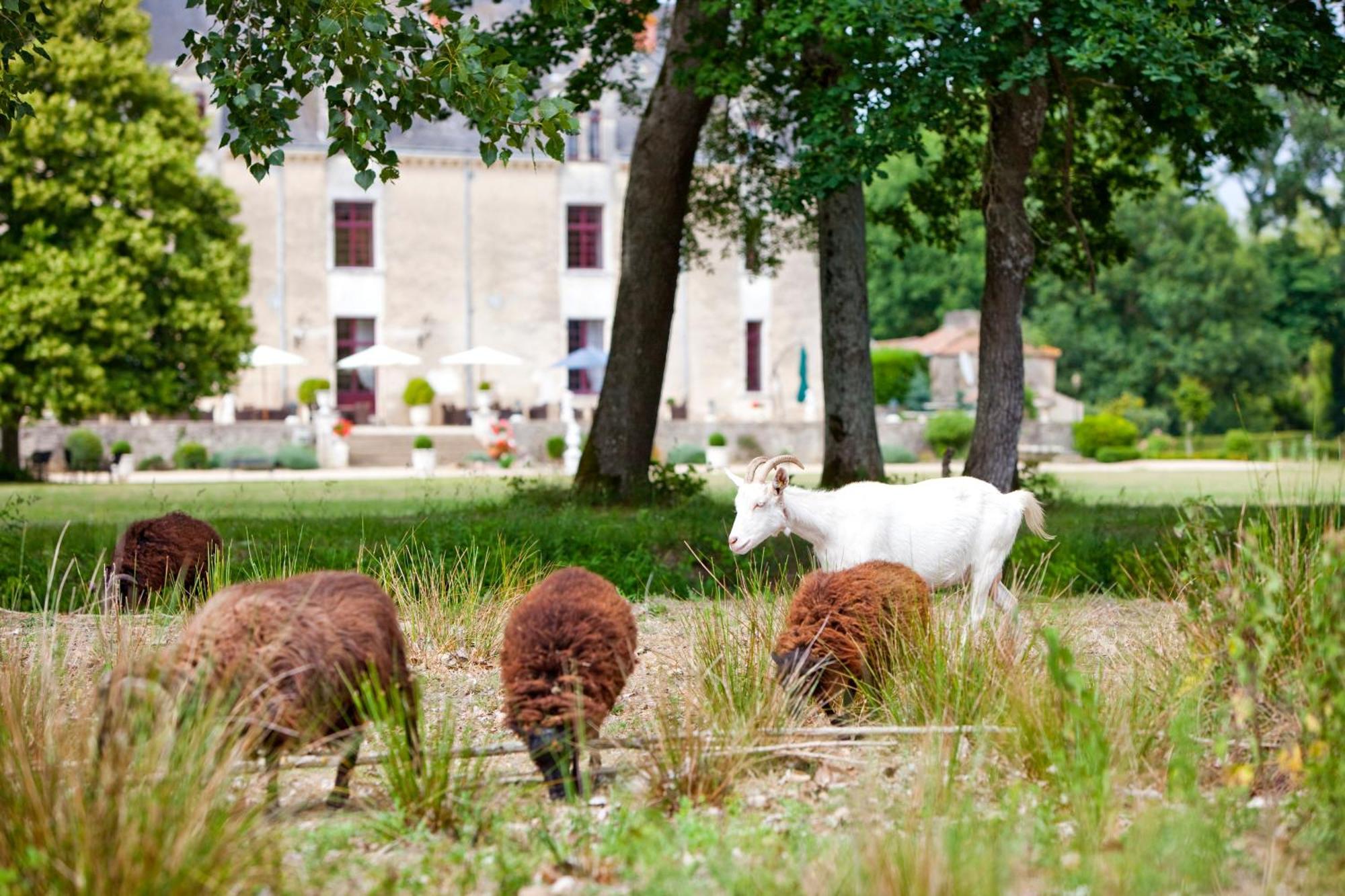 Chateau De La Verie Challans Ngoại thất bức ảnh